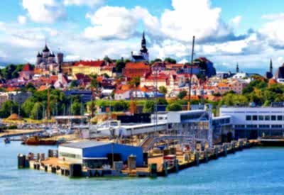 Estonya Lennart Meri Tallinn Özel Uçak Kiralama